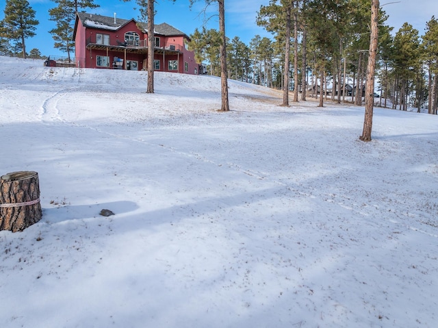 view of snowy yard