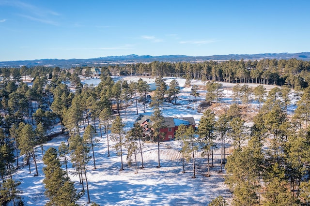 snowy aerial view with a mountain view