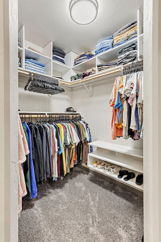 spacious closet featuring carpet