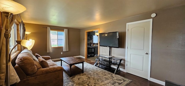 living room with dark wood-type flooring