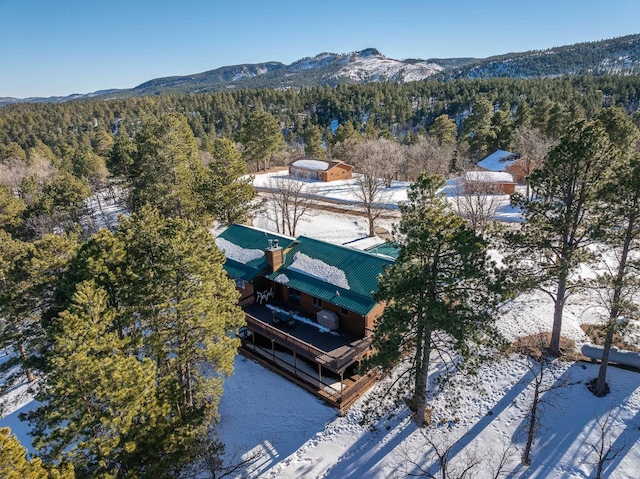 snowy aerial view featuring a mountain view