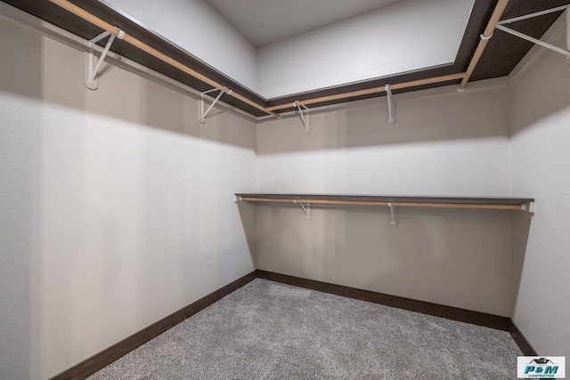 spacious closet with carpet