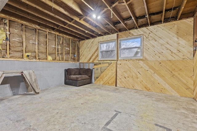 basement with wooden walls