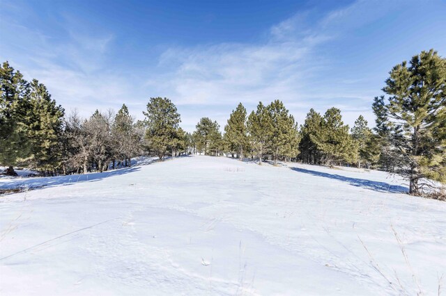 LOT5 Oak Dr, Whitewood SD, 57793 land for sale