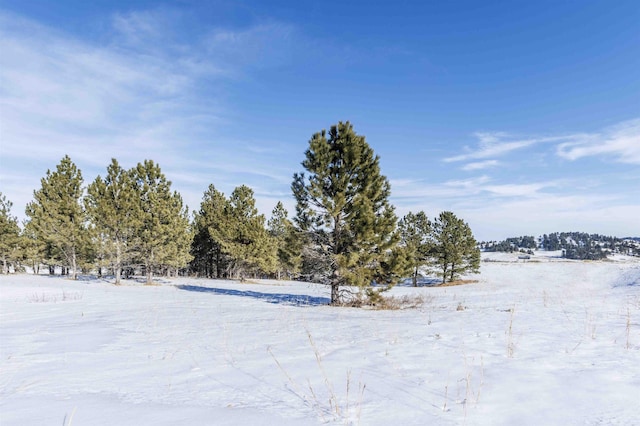 Listing photo 2 for LOT5 Oak Dr, Whitewood SD 57793