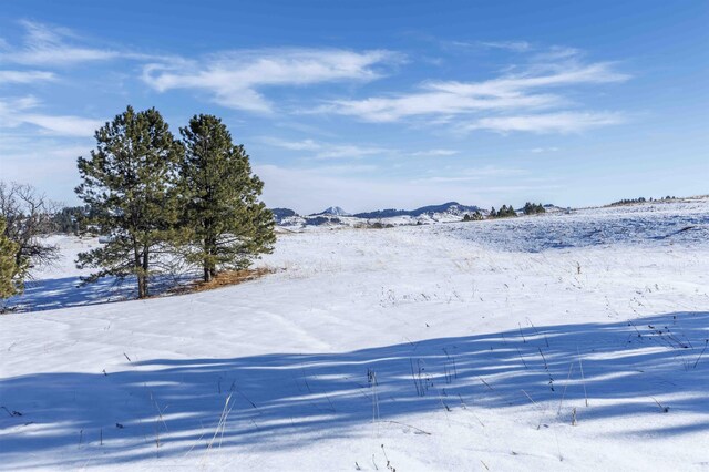 Listing photo 3 for LOT5 Oak Dr, Whitewood SD 57793