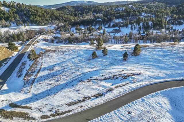 LOT31 Oak Dr, Whitewood, SD 57793