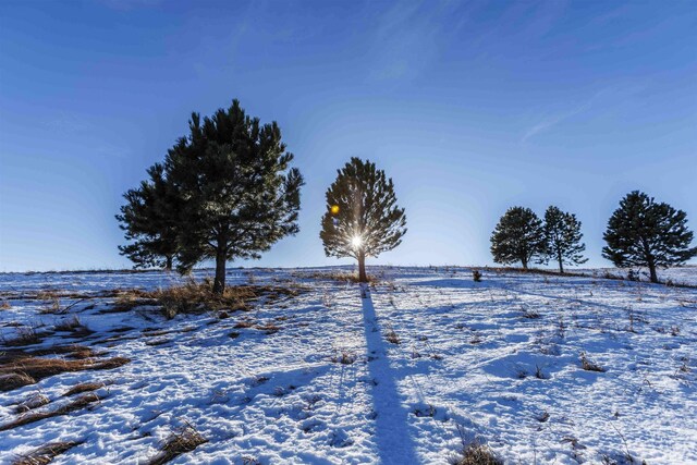LOT31 Oak Dr, Whitewood, SD 57793
