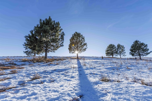 LOT31 Oak Dr, Whitewood, SD 57793