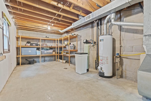 basement featuring gas water heater