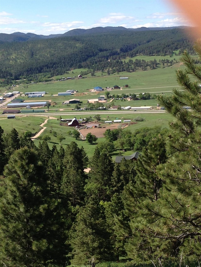 drone / aerial view featuring a rural view, a view of trees, and a mountain view