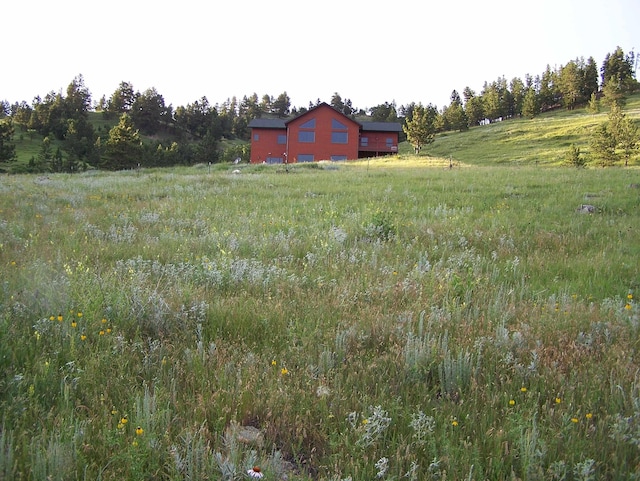 view of yard with a rural view