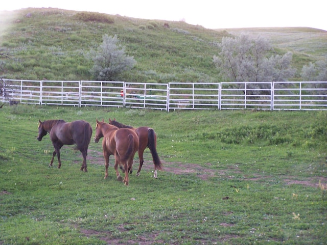 view of horse barn featuring a rural view