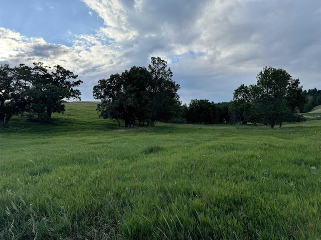 view of yard featuring a rural view