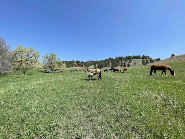 view of yard with a rural view