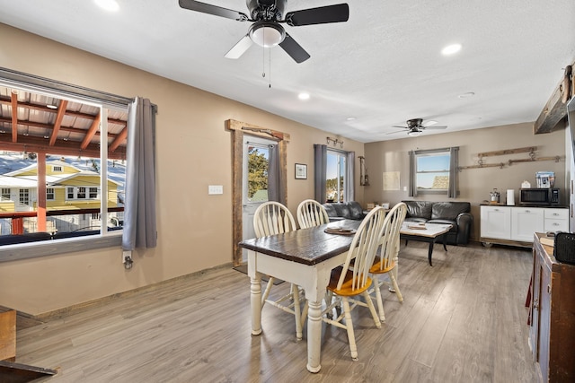 dining room featuring ceiling fan, a textured ceiling, and light hardwood / wood-style floors