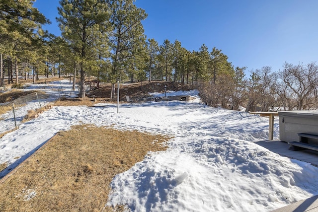 view of snowy yard