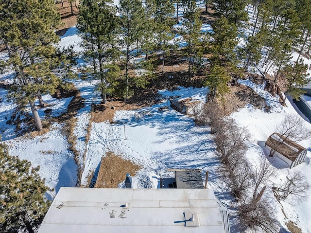 view of snowy aerial view