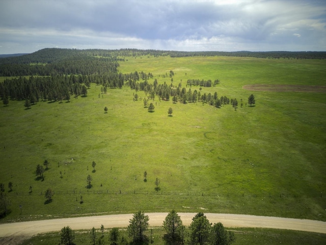 HopkinsFlats, Pringle SD, 57730 land for sale