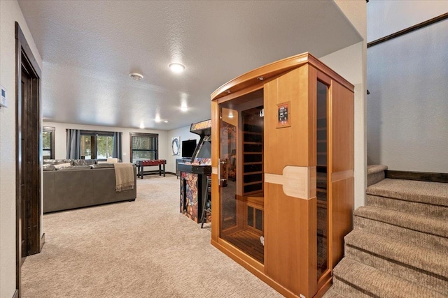 living room with carpet and a textured ceiling