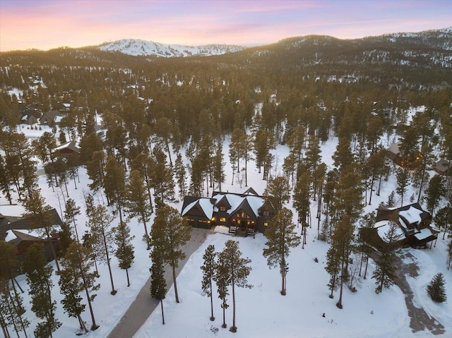 snowy aerial view featuring a mountain view