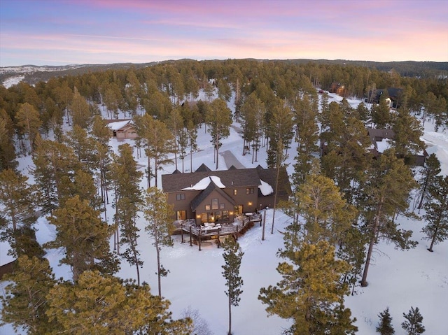 view of snowy aerial view