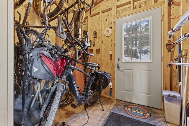 entryway with plenty of natural light