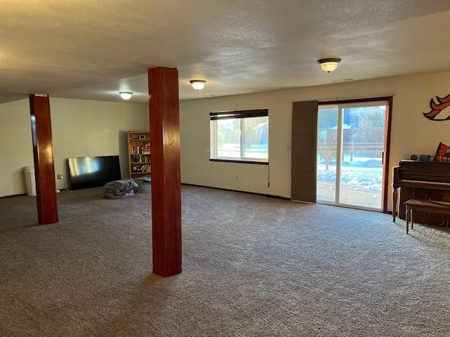 living room with a textured ceiling and carpet flooring