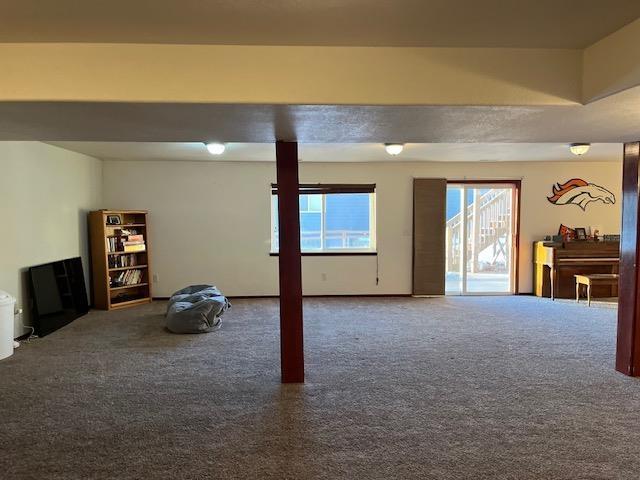 interior space featuring dark colored carpet