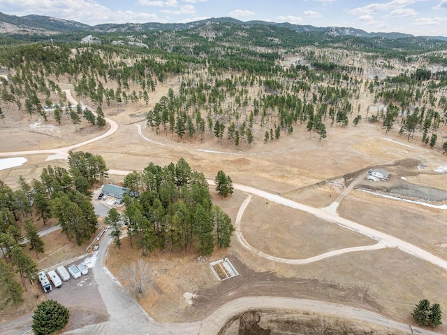 drone / aerial view featuring a mountain view