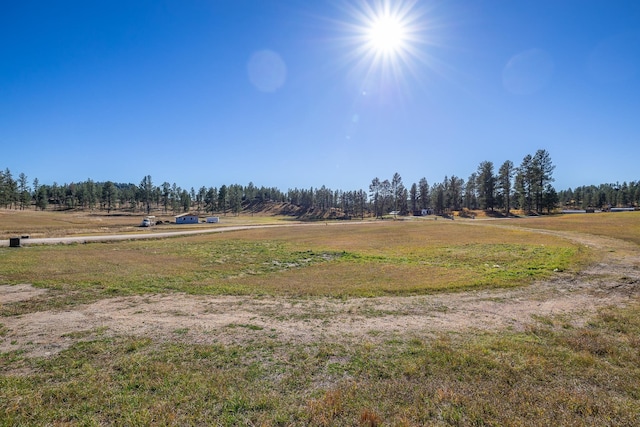 view of property's community with a rural view and a yard