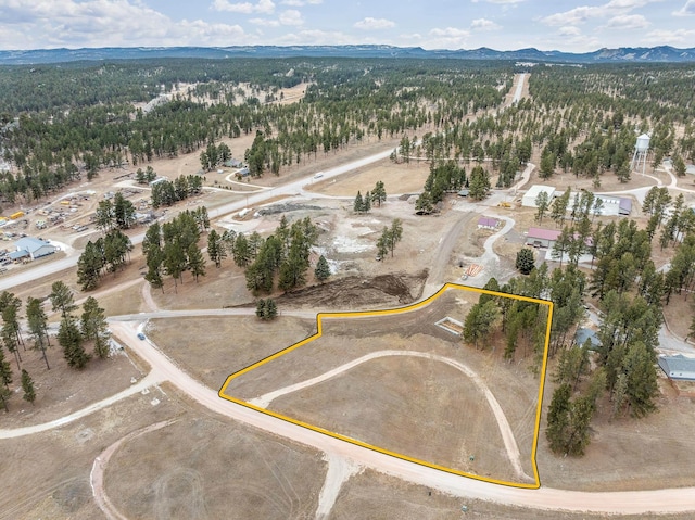 birds eye view of property featuring a mountain view