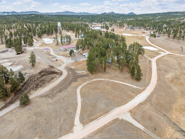 drone / aerial view featuring a mountain view