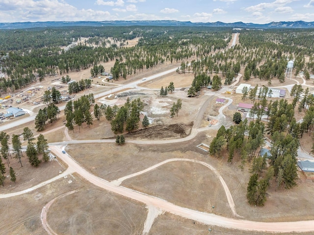 drone / aerial view featuring a mountain view