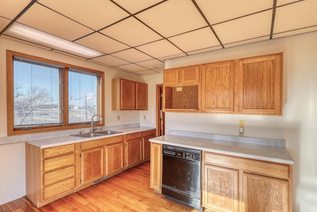 kitchen with sink, a paneled ceiling, light hardwood / wood-style floors, and black dishwasher