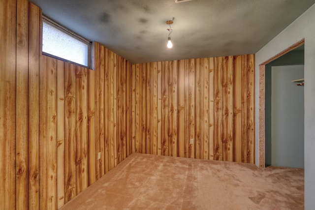 basement featuring wooden walls and carpet floors