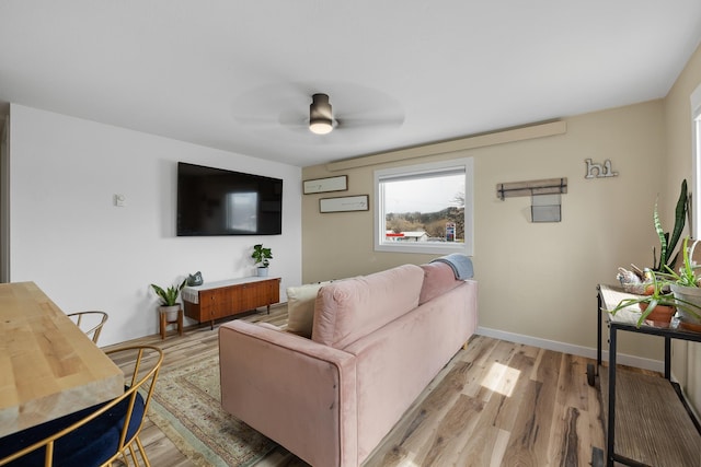 living room with ceiling fan and light hardwood / wood-style flooring