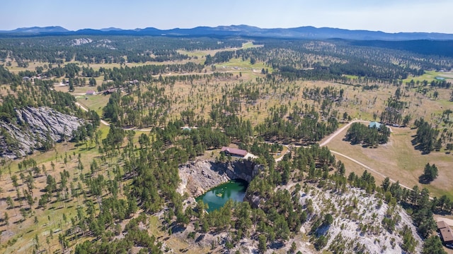 drone / aerial view with a water and mountain view