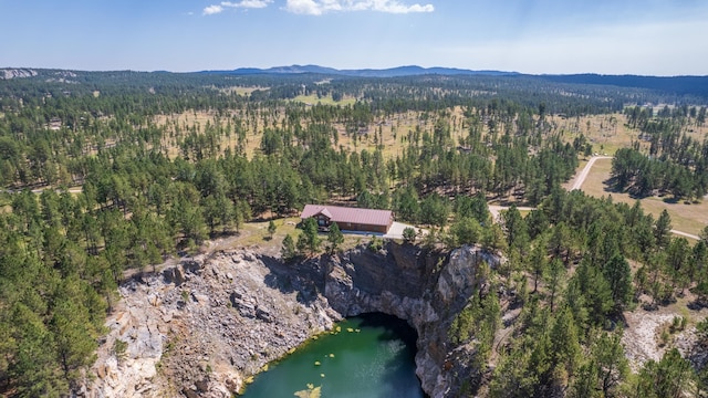 birds eye view of property featuring a water and mountain view