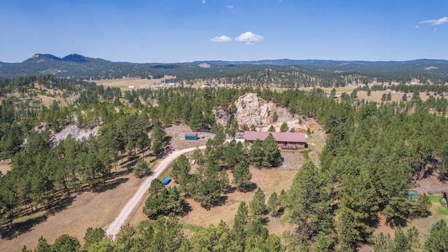 aerial view with a mountain view