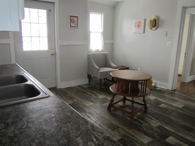 interior space with sink, a wealth of natural light, and dark hardwood / wood-style floors