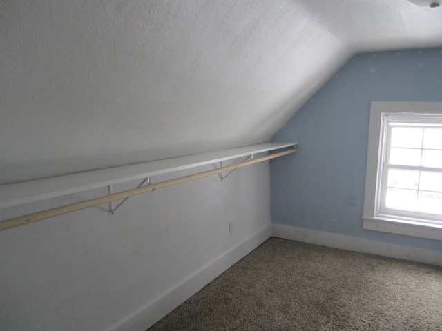 walk in closet with lofted ceiling and carpet flooring