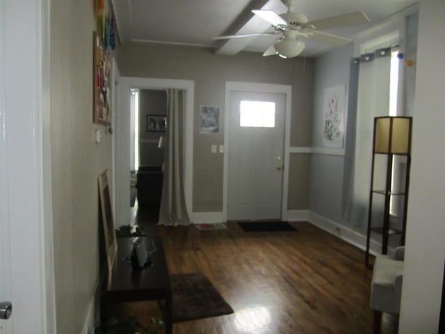 foyer with ceiling fan and dark hardwood / wood-style flooring