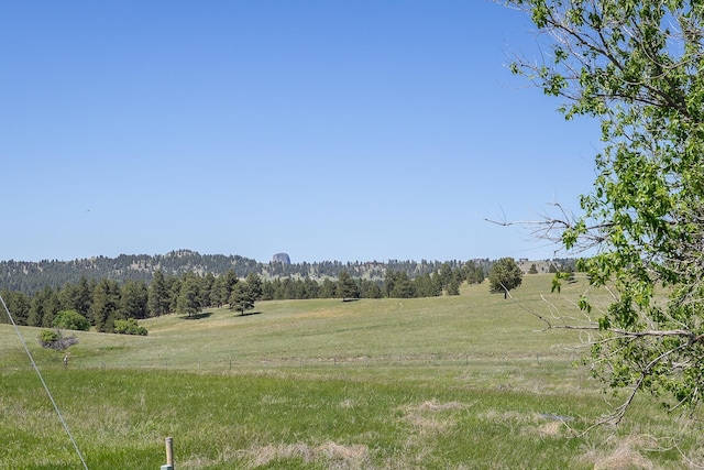 view of landscape with a rural view