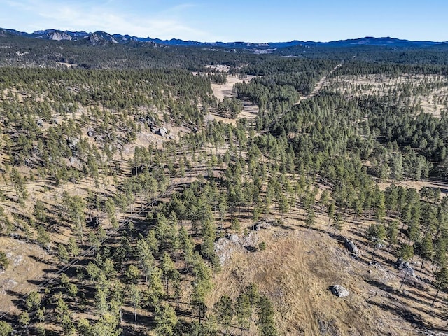 aerial view with a mountain view