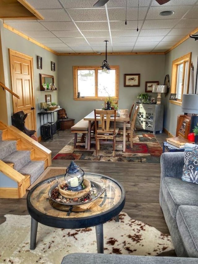 living area with dark wood-style floors, stairs, a paneled ceiling, and crown molding