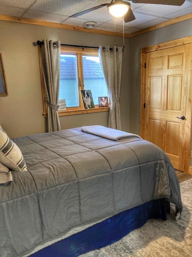 bedroom featuring a closet, a ceiling fan, and a drop ceiling