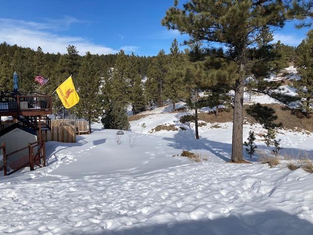 view of snowy yard