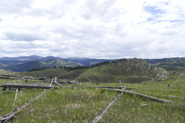 TBD Majestic Heights Rd, Sturgis, SD 57785