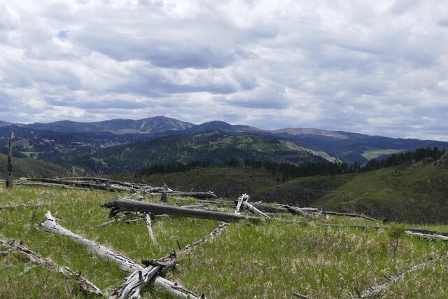 TBD Majestic Heights Rd, Sturgis, SD 57785